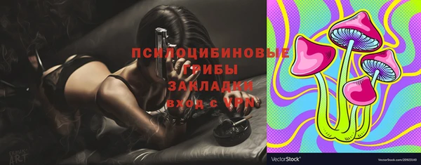 Альфа ПВП Магадан