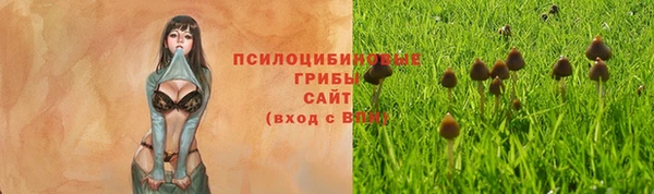 прущая мука Мегион