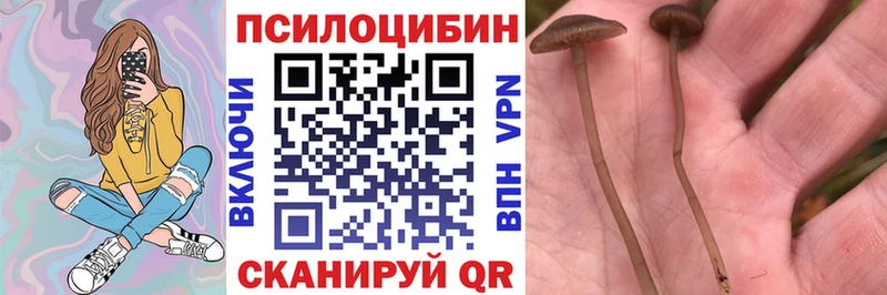 Галлюциногенные грибы Magic Shrooms  даркнет как зайти  Николаевск-на-Амуре  наркота 